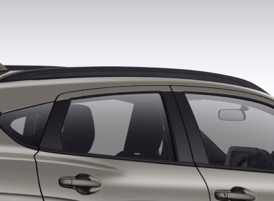 Roof Rail Black (GL Only)