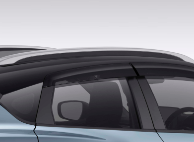 Roof Rail Silver (SGX & GX Only)